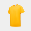 Kingston T-shirt